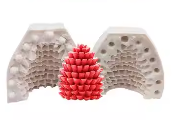 قالب صنوبر نصين